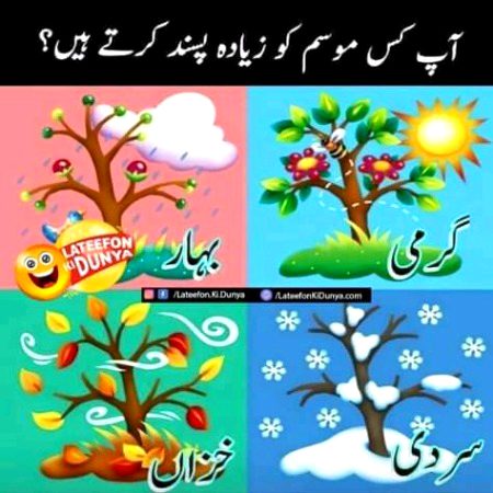 Which weather is your favorite
