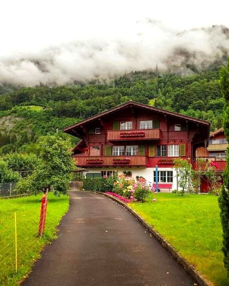 Beautiful Nature image