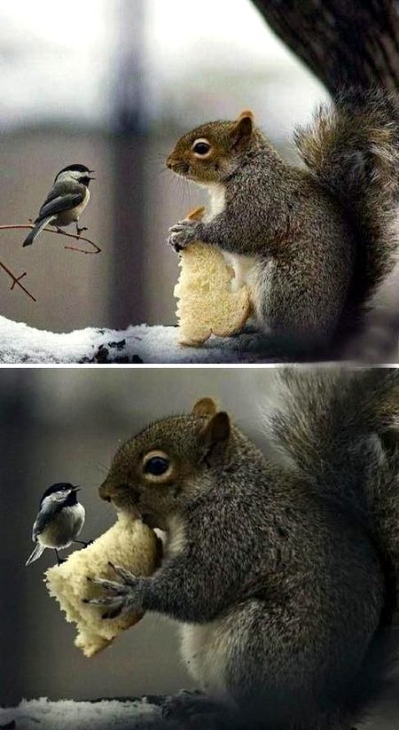 Beautiful Nature image