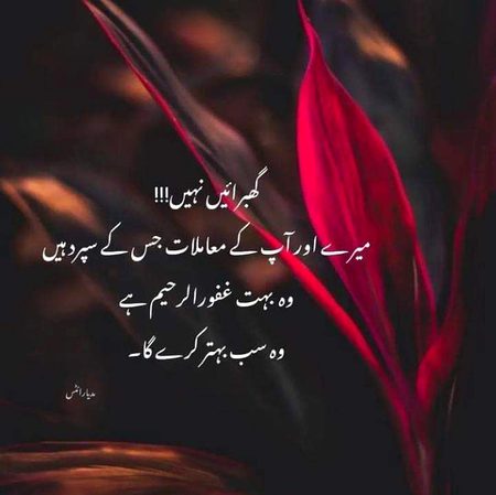 Motivational Quotes image