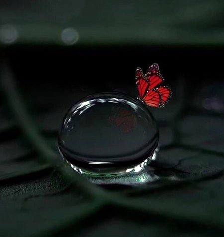 میں الجھ رہی ہوں...
میں گرنے لگی ہوں...
گر کر ٹوٹ جانے کا خوف مجھے  چلنے نہیں دے رہا...
راہ واضح ہے لیکن قدم اٹھانا مشکل ... 
میں سہارے کی تلاش میں اندھیر نگری میں نکل آئی ہوں اور
دور کہی روشنی نظر آرہی ہے.. 
قریب جاکر دیکھا تو اپنے چاہنے والے رب کو پایا...
بالکل اسی طرح جیسے موسی عہ کو وادی سینا میں رب ملا معجزہ ملا... 
اور پھر میں بھی موسی عہ کی طرح معجزہ ملنے کے انتظار میں اس روشنی میں کھڑی ہوں...