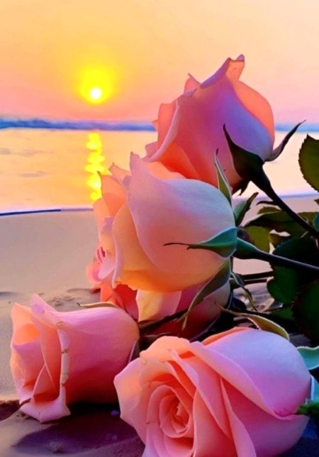 Beautiful Nature image