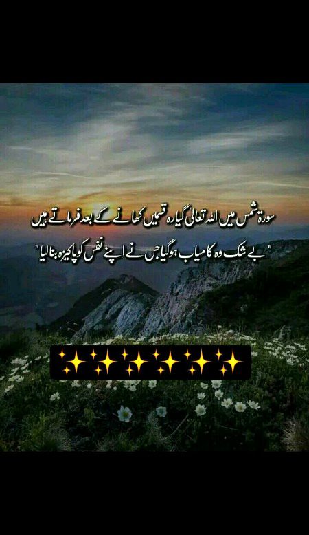 Islamic Quotes image