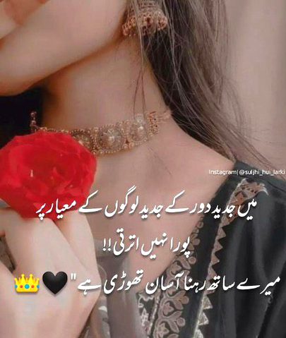 Attitude Quotes image