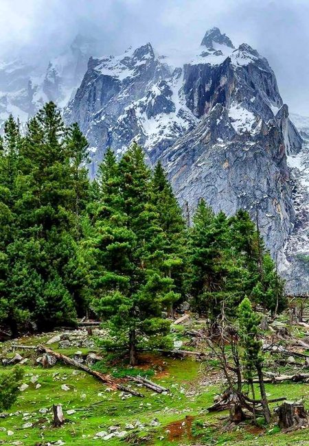 Beautiful Nature image