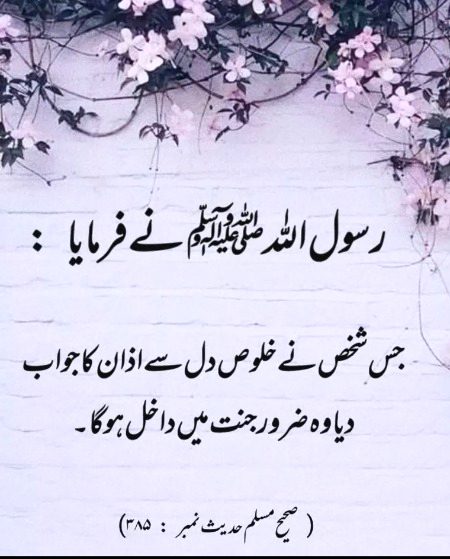 Islamic Quotes image