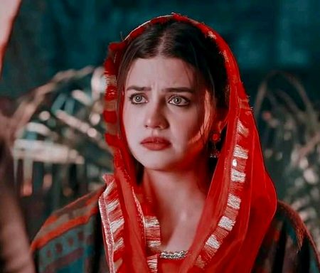 Pakistani Celebs image