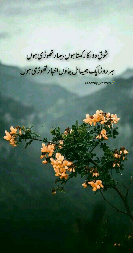 Attitude Poetry image