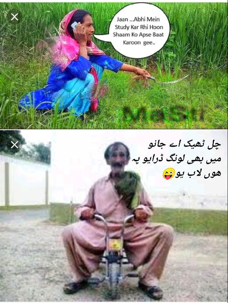 Memes & Satire image