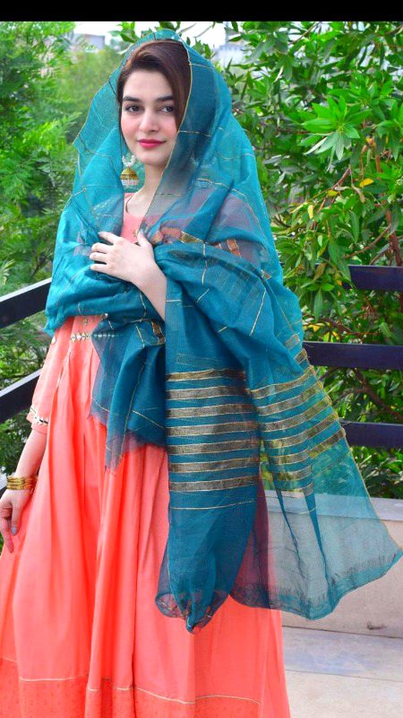 Pakistani Celebs image
