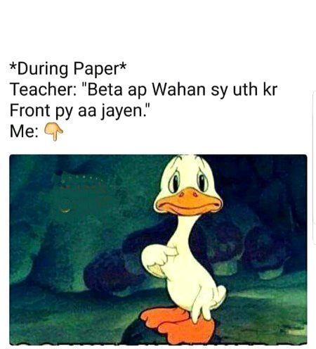 Memes & Satire image