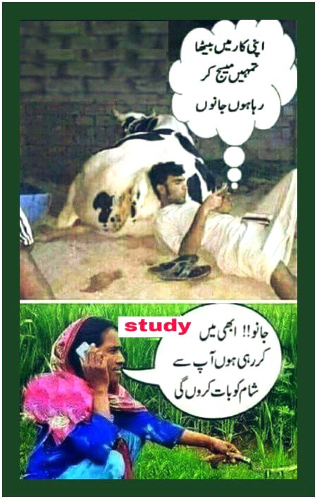 Memes & Satire image
