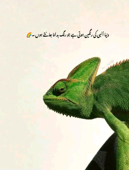 Hn g asa hi ha😏😏