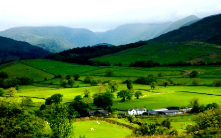 Beautiful Nature image