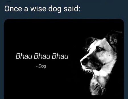 Memes & Satire image