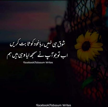 Safaiya dena Chor di