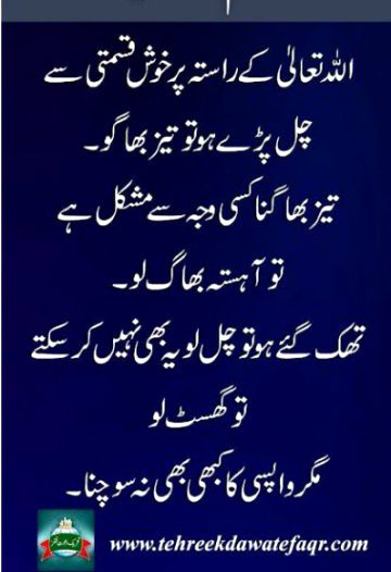 🍁Zoq_Shab🍁