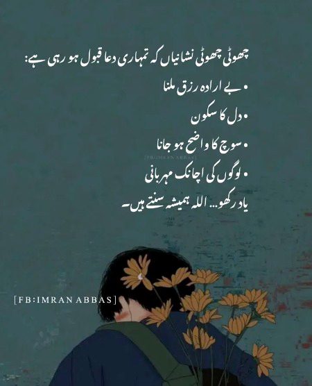 Scholer Noman Ali Khan .💫