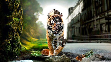 Beautiful Nature image