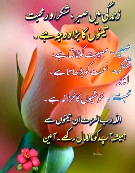 Allah sub ko Atta kary