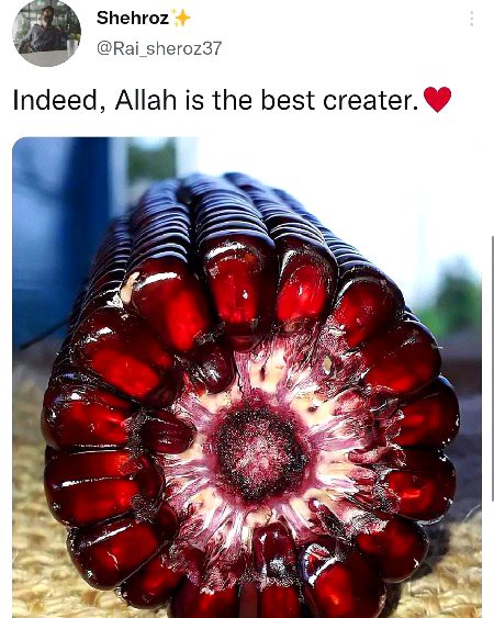 Beautiful Nature image