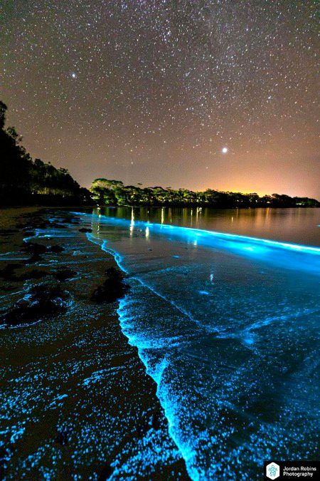 Beautiful Nature image