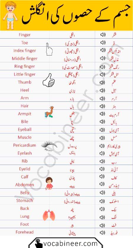 Tips for Students image