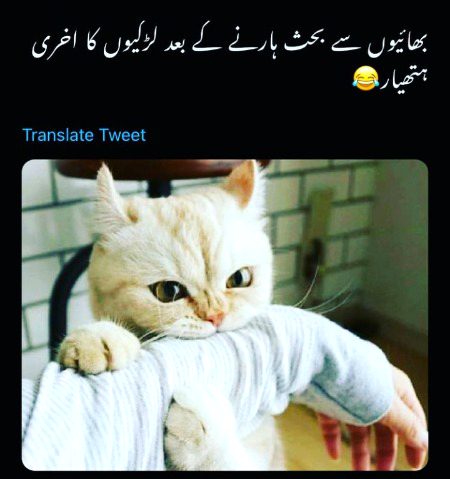 Memes & Satire image