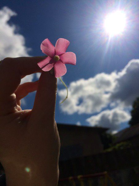 Beautiful Nature image