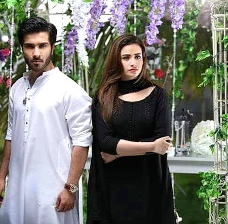 Pakistani Celebs image