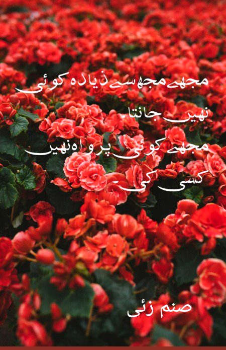 Attitude Quotes image