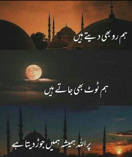 beshak 🌹🍀🌹🍀🌹🍀