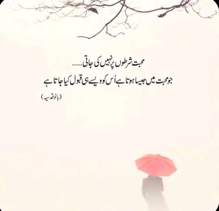 Motivational Quotes image