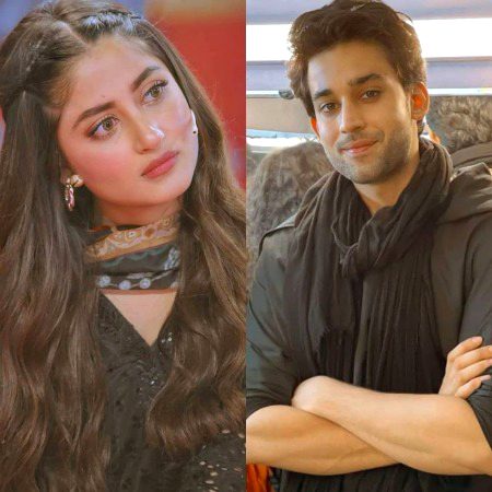 Pakistani Celebs image