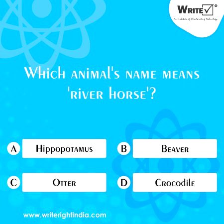 Knowledge Test image