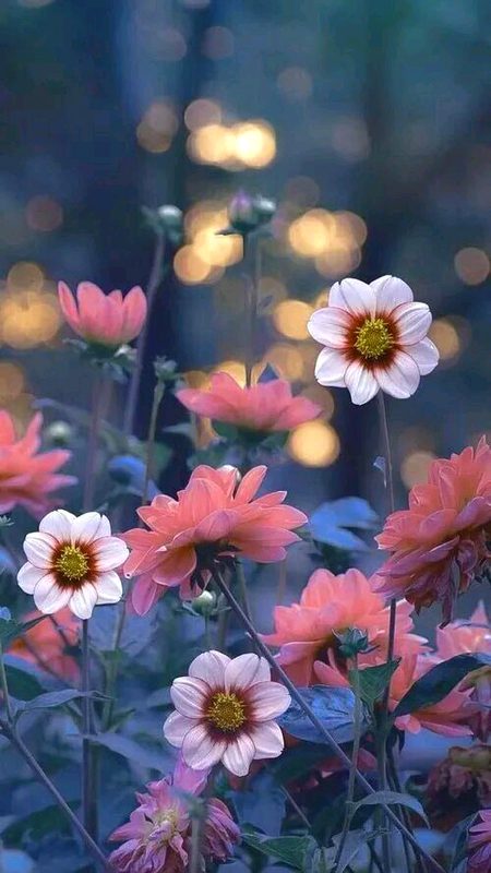 Beautiful Nature image