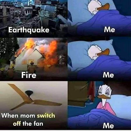 Memes & Satire image