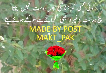 کوئی کسی کو زندگی بھر دوست نہیں بناتا
پیڑدرخت وغیرہ بھی گراتےہےسوکھےہوئےپتے