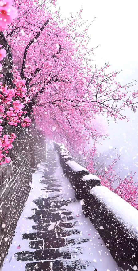 *آج کل کے دور میں روٹھے ہوئے کو منانے کی بجائے❤🩹*
*چھوڑ جانا بہتر سمجھا جاتا ہے__💔🥲*