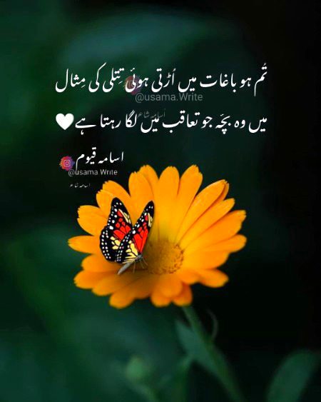Romantic Poetry image