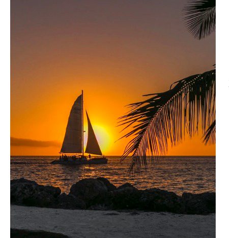 Beautiful Nature image