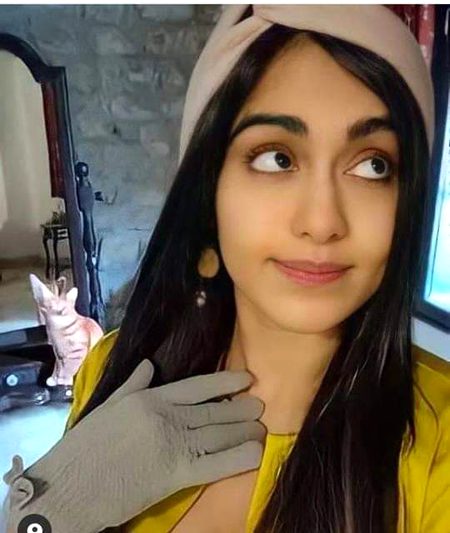 Indian Celebs image