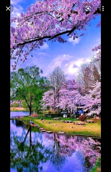 Beautiful Nature image