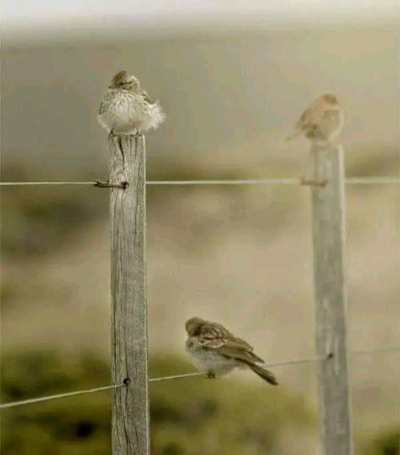 Beautiful Nature image