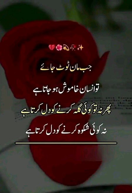 Attitude Quotes image