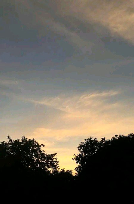 Beautiful Nature image