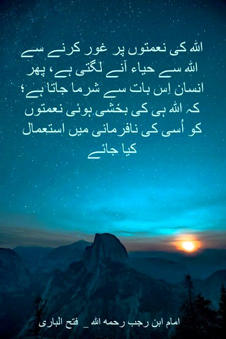 💜💚🖤❤️💜💚🖤❤️