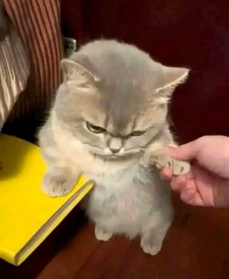 Beautiful Nature image