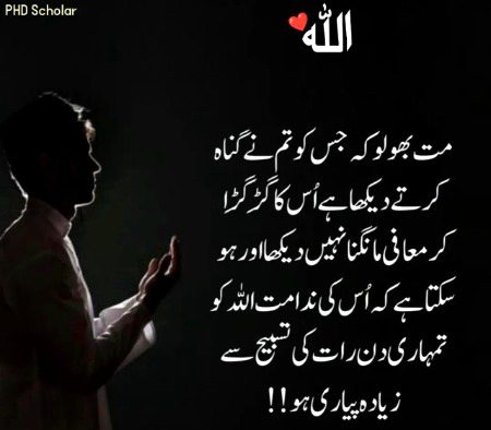 Islamic Quotes image