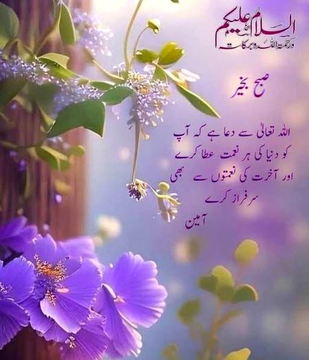 .q2 all. subha ki duaao me yaad. 🥰🥰🥰😃